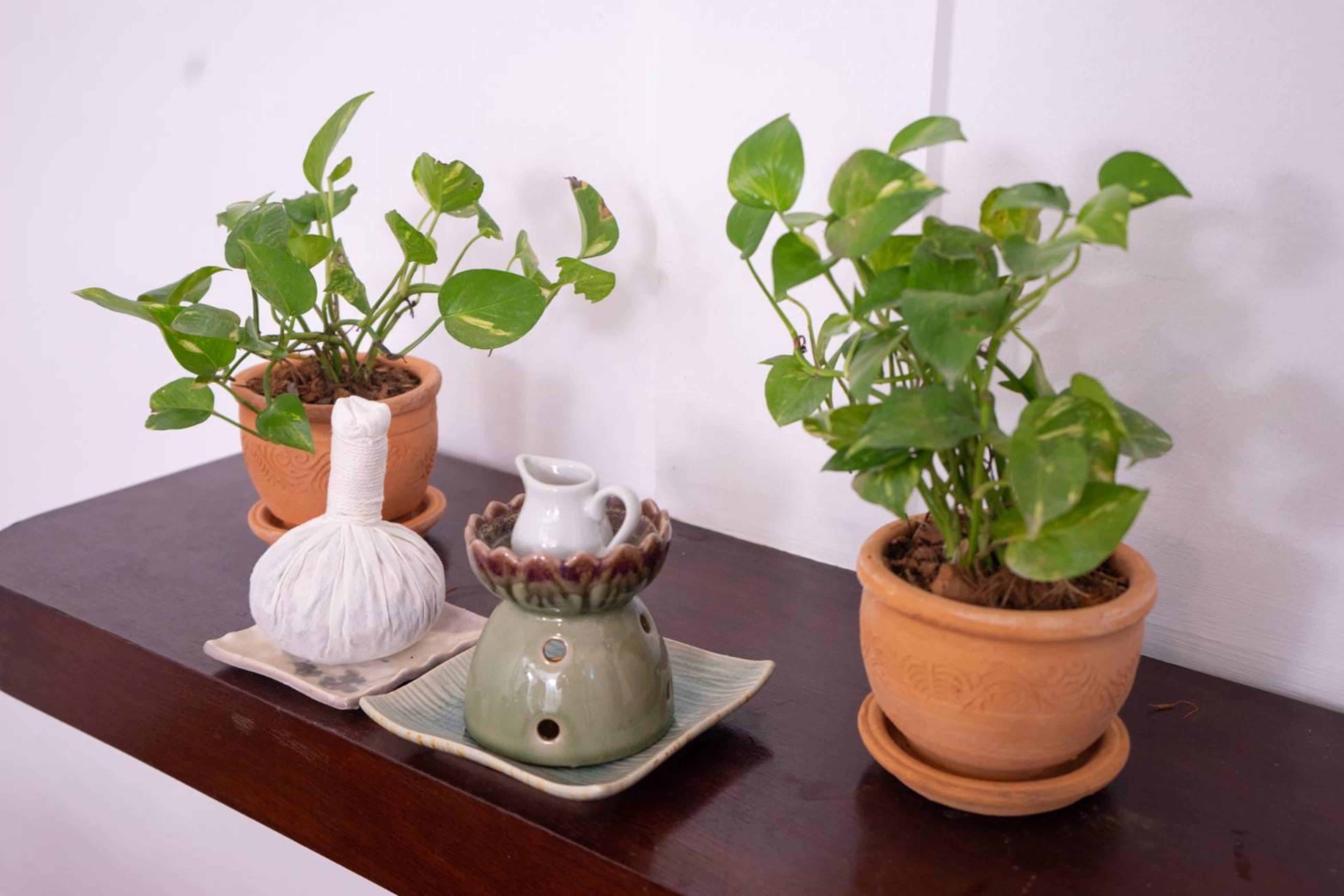 Amaravati Wellness Center Sha Plus Chiang Mai Luaran gambar